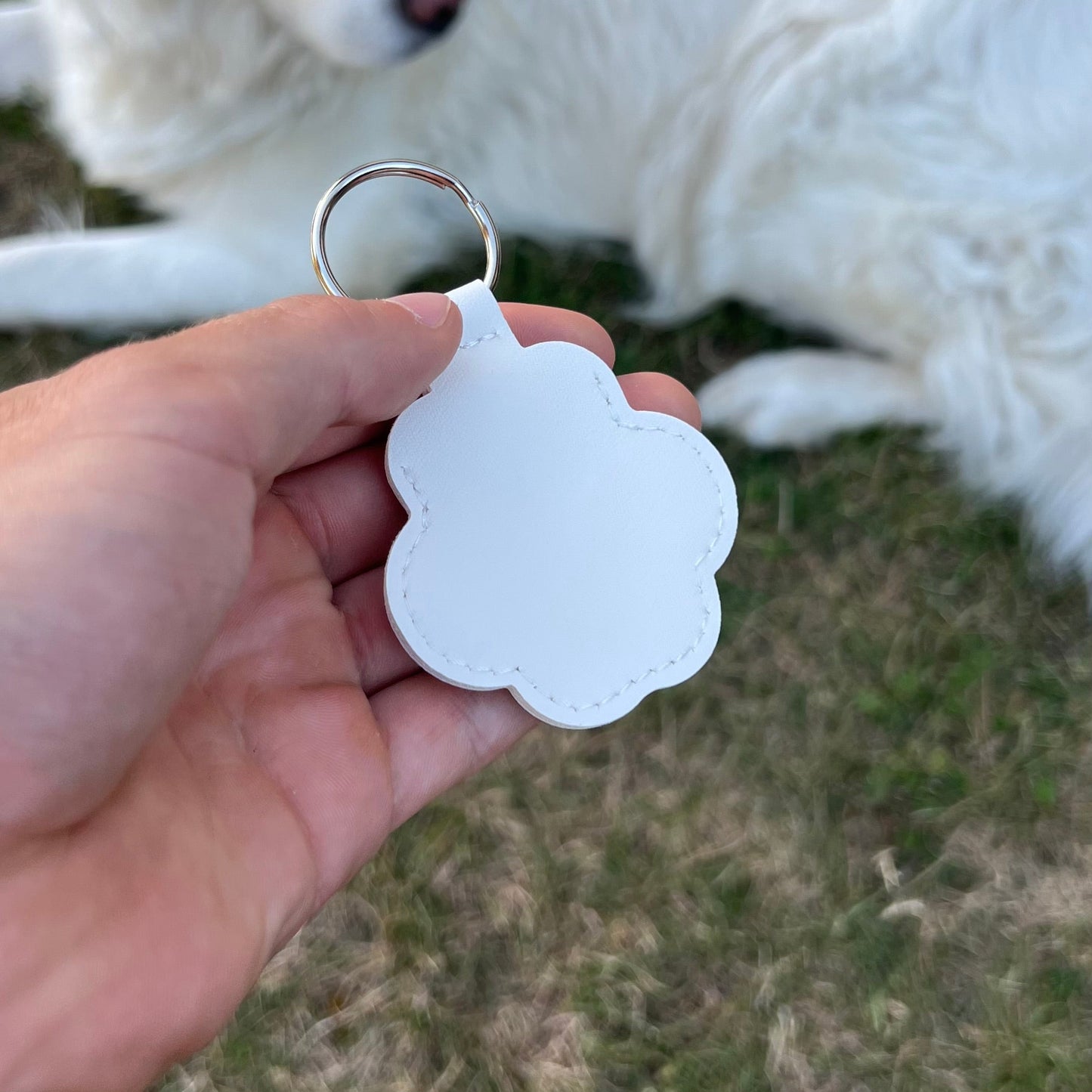 Shelter keychain