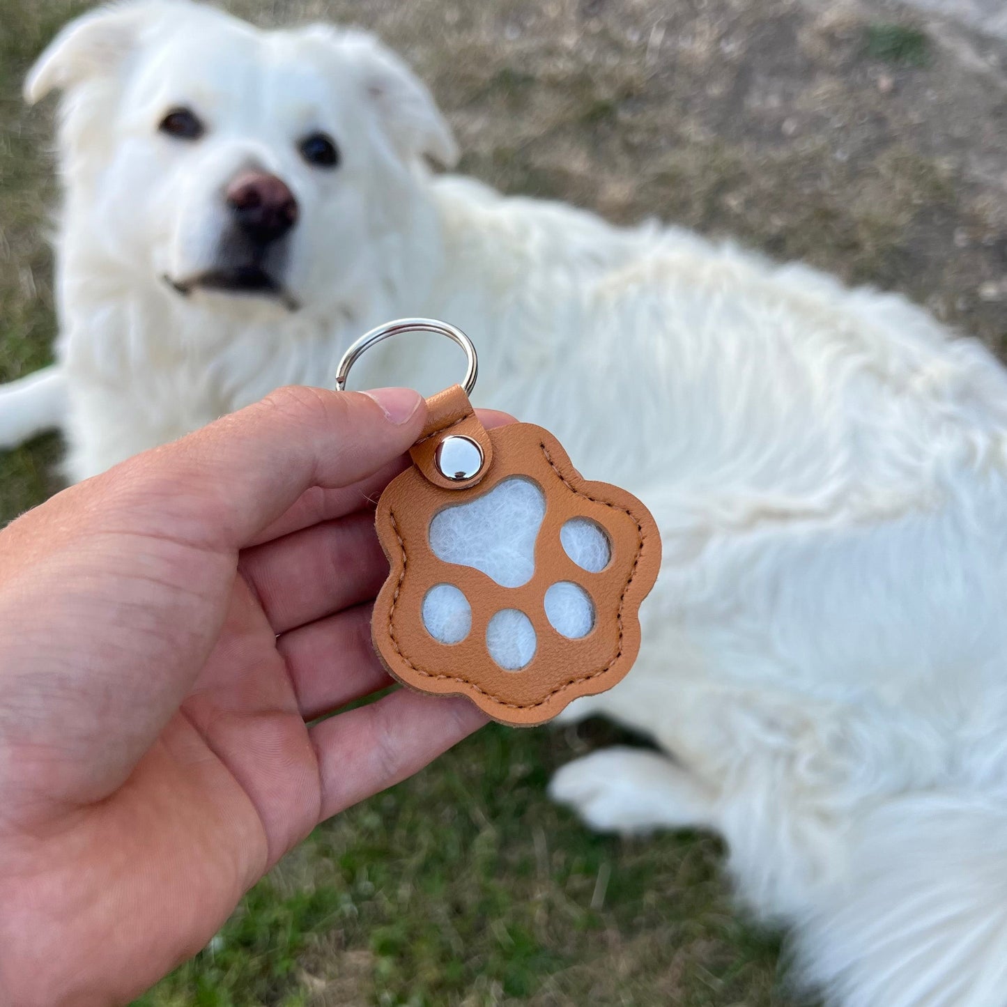 Shelter keychain