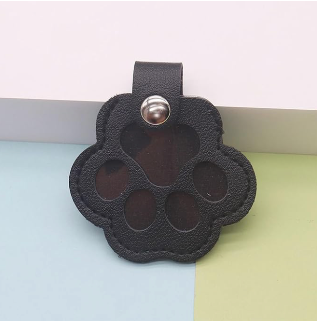 Shelter keychain