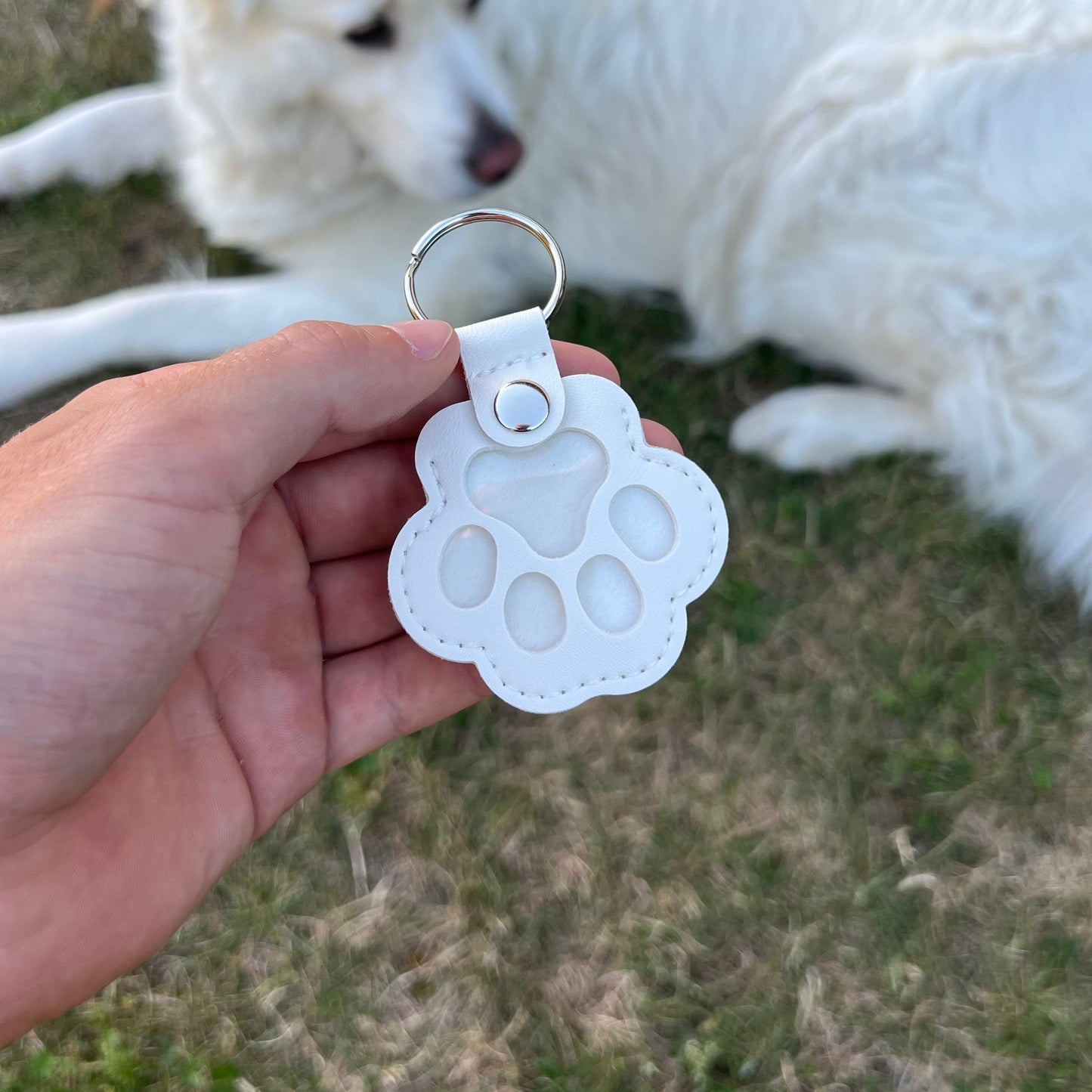 Shelter keychain