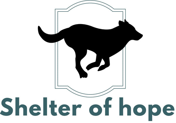 Shelter of hope